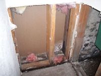 images/gallery/mold-damage/125635.1000646.jpg