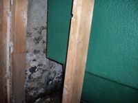 images/gallery/mold-damage/543305.1000647.jpg