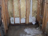images/gallery/mold-damage/611707.1000727.jpg