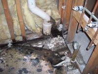 images/gallery/mold-damage/647770.1000721.jpg