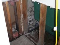 images/gallery/mold-damage/761290.1000661.jpg