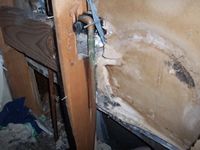 images/gallery/mold-damage/807799.1000793.jpg