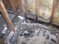 images/gallery/mold-damage/943212.1000723.jpg