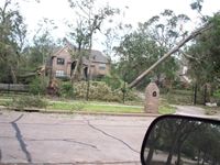 images/gallery/storm-damage/774759.1000396.jpg