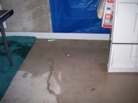 images/gallery/water-damage/688927.1000706.jpg