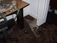 images/gallery/water-damage/926701.1000523.jpg