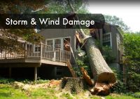 Storm Damage Repair