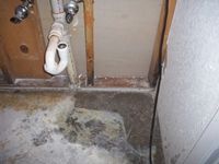 images/gallery/mold-damage/329238.1000728.jpg