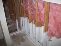 images/gallery/mold-damage/499306.1000736.jpg