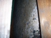 images/gallery/mold-damage/663350.1000642.jpg