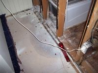 images/gallery/mold-damage/779380.1000796.jpg
