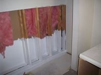 images/gallery/mold-damage/830811.1000735.jpg