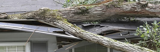 Fallen tree on a house in Grand Rapids MI