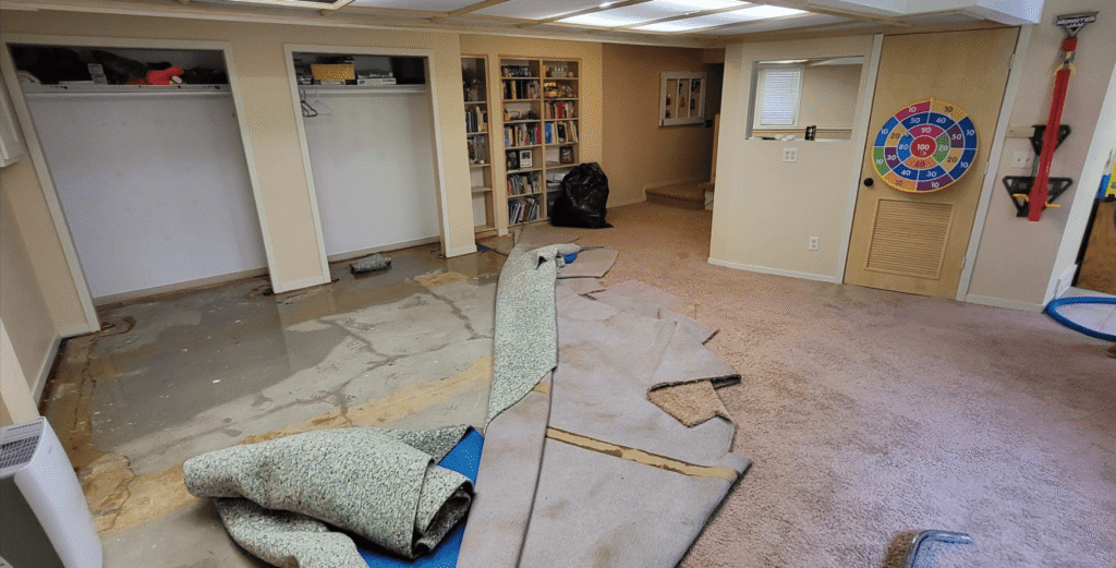 Basement Flood Cleanup in Rockford, MI
