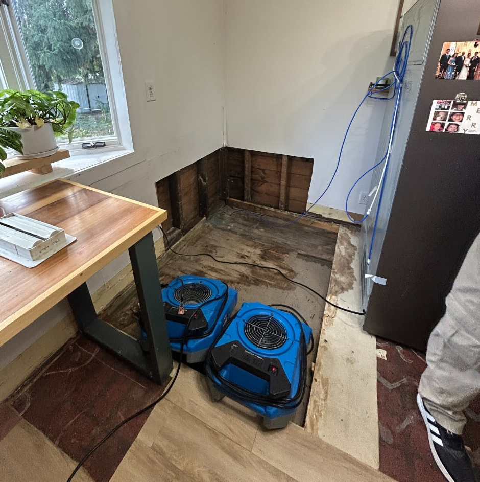 Fast Mitigation for Refrigerator Leak Water Damage in Grand Rapids, MI