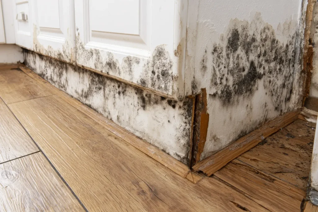Walker, MI Water Damage Restoration