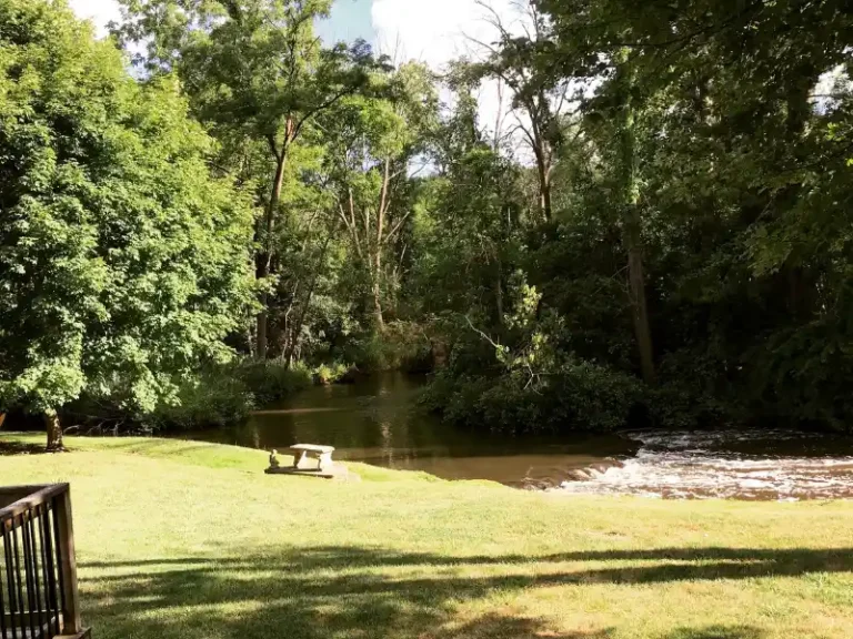 A small river flowing through a grassy area with dense trees and a stone bench nearby.