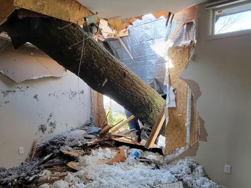 Large tree trunk crashed through a house wall, causing debris and insulation to scatter inside.