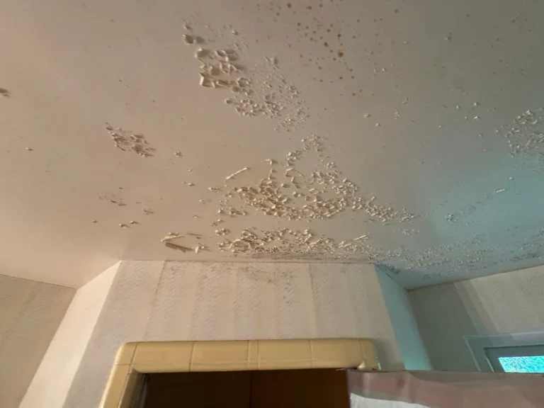 Peeling and bubbling paint on a ceiling above a tiled doorway.